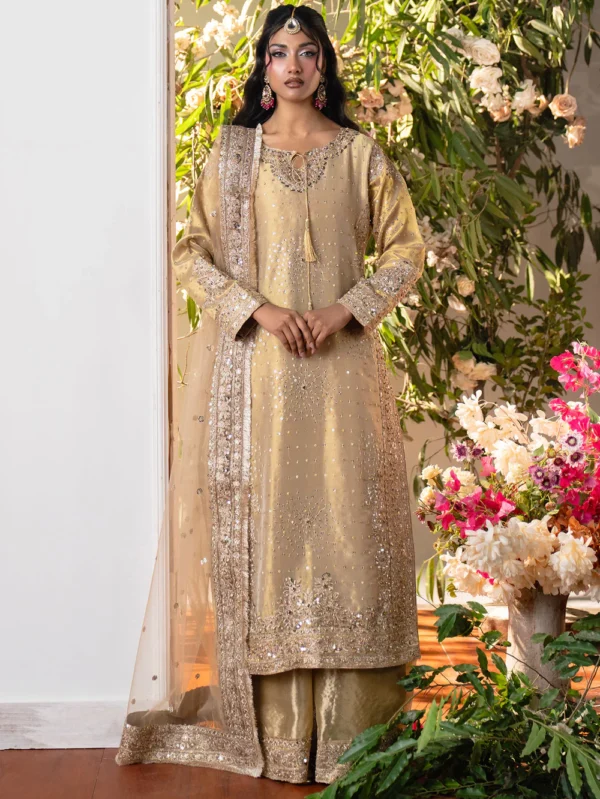 Elegant Beige Chiffon Kurta Set – 3 Piece Formal Eastern Wear for Women