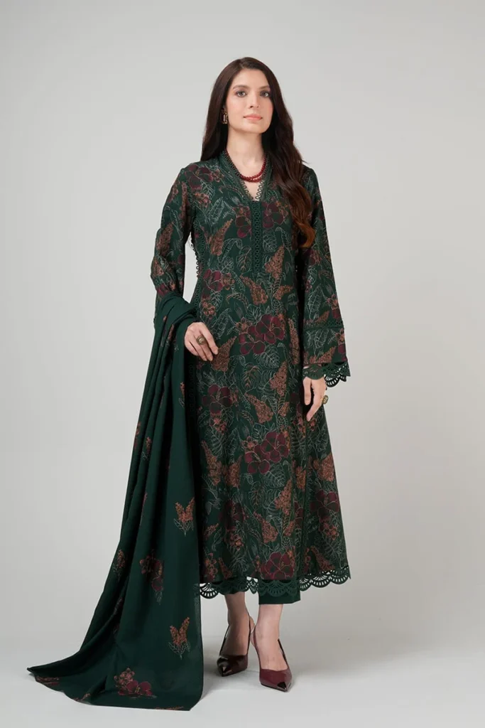 Top 10 Pakistani Winter Collections You Must Try in 2026